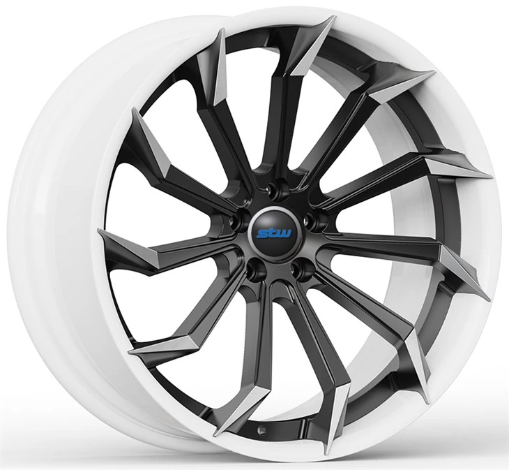 White Barrels And Black+Machined Spoke 20" Custom 2-PC Forged Rims